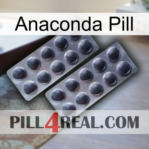 Anaconda Pill 31.jpg